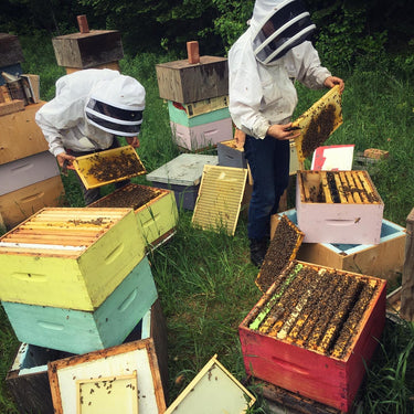 6 kg organic honey in bulk